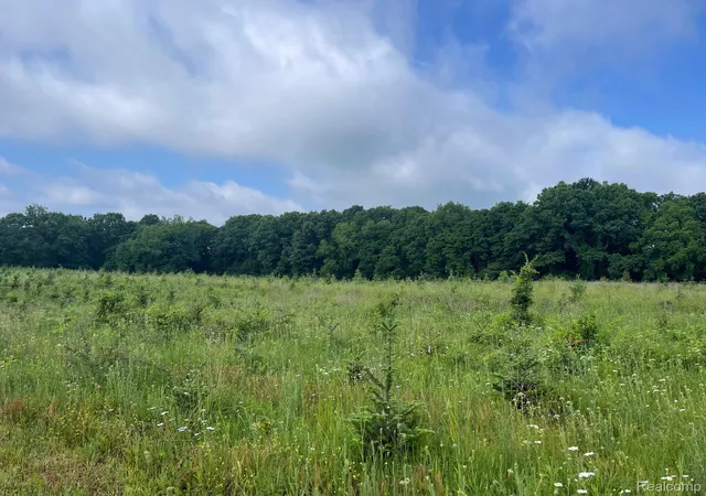 Photo 3 of Land for sale at 08 Tipsico Lake, Highland, MI 48357 | MLS# 20261042885 | Listing updated on 2026-07-06