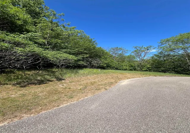 Photo 4 of Land for sale at Units 162 & 163 Spyglass Hl Ct, Custer Township Antrim, MI 49615 | MLS# 78080069422 | Listing updated on 2026-06-12