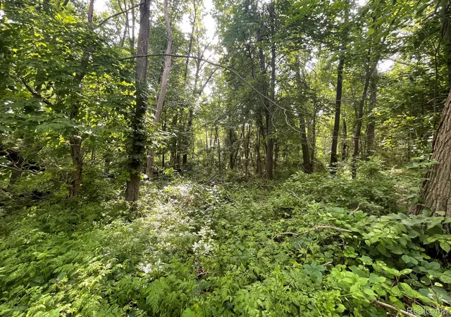 Photo 1 of Land for sale at 09 Tipsico Lake Rd, Highland, MI 48357 | MLS# 20261042894 | Listing updated on 2026-07-06