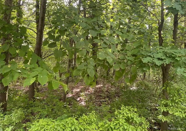 Photo 2 of Land for sale at 09 Tipsico Lake Rd, Highland, MI 48357 | MLS# 20261042894 | Listing updated on 2026-07-06