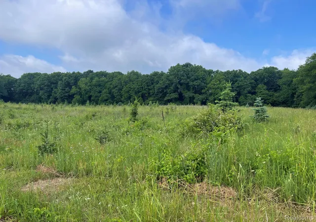 Photo 3 of Land for sale at 09 Tipsico Lake Rd, Highland, MI 48357 | MLS# 20261042894 | Listing updated on 2026-07-06