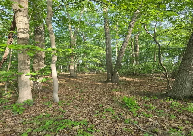 2nd image of 2531 Weaver Rd, Port Austin, MI 48467 | MLS# 61050210692