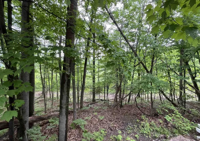 39th image of 4737 Mary E Dr, Hale, MI 48739 | MLS# 77080069429