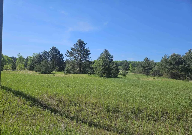 Photo 3 of Land for sale at V/l SE Parcel B Grass Lake Rd, Excelsior Township Kalkaska, MI 49646 | MLS# 78080069431 | Listing updated on 2026-07-06