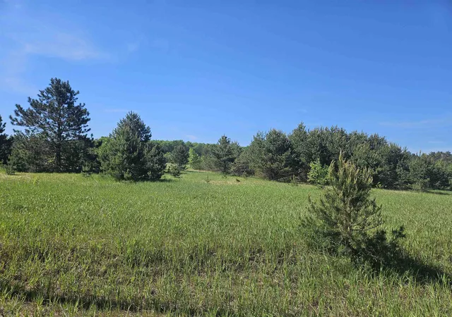 Photo 4 of Land for sale at V/l SE Parcel B Grass Lake Rd, Excelsior Township Kalkaska, MI 49646 | MLS# 78080069431 | Listing updated on 2026-07-06