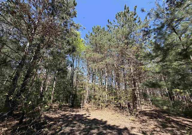 3rd image of 13158 Cinder, Beulah, MI 49617 | MLS# 78080069440
