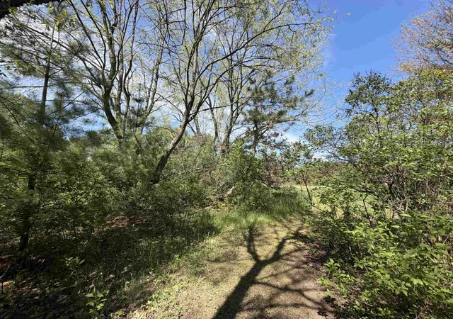 5th image of 13158 Cinder, Beulah, MI 49617 | MLS# 78080069440