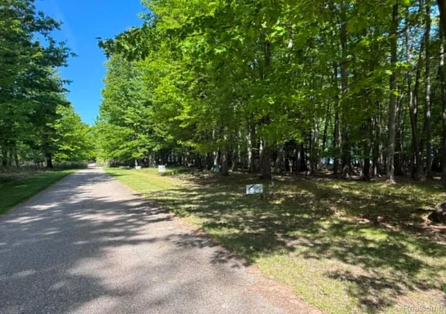 2nd image of Lot 17 Towering Oaks Towering Oaks Dr, Port Austin, MI 48467 | MLS# 20261043157