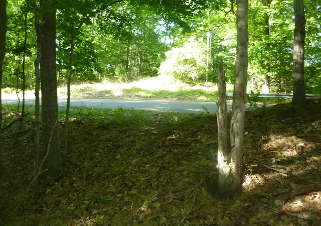 13th image of Oo Point Betsie Rd, Lake Township Benzie, MI 49635 | MLS# 78080069455