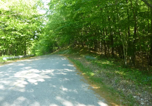 1st image of Oo Point Betsie Rd, Lake Township Benzie, MI 49635 | MLS# 78080069455