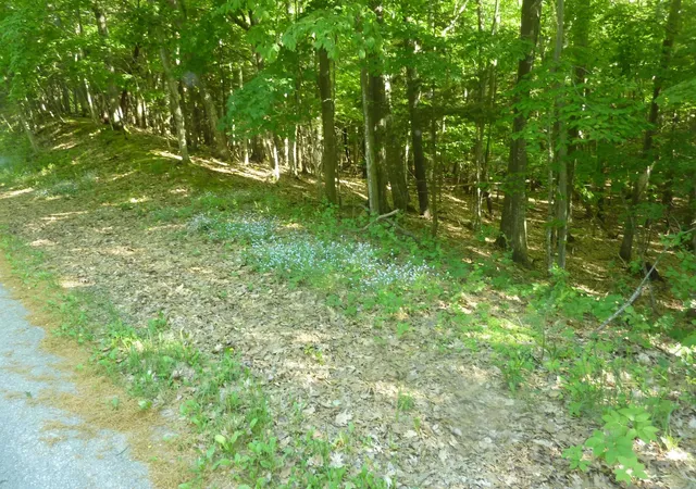 2nd image of Oo Point Betsie Rd, Lake Township Benzie, MI 49635 | MLS# 78080069455
