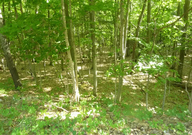 3rd image of Oo Point Betsie Rd, Lake Township Benzie, MI 49635 | MLS# 78080069455