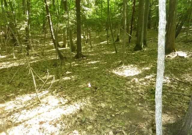4th image of Oo Point Betsie Rd, Lake Township Benzie, MI 49635 | MLS# 78080069455