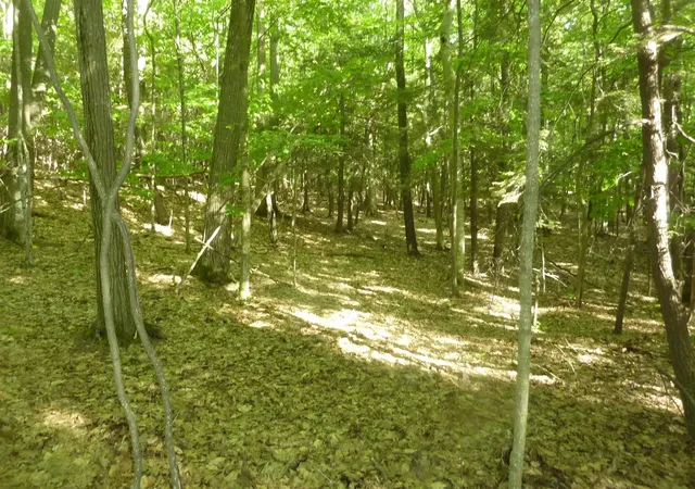 5th image of Oo Point Betsie Rd, Lake Township Benzie, MI 49635 | MLS# 78080069455