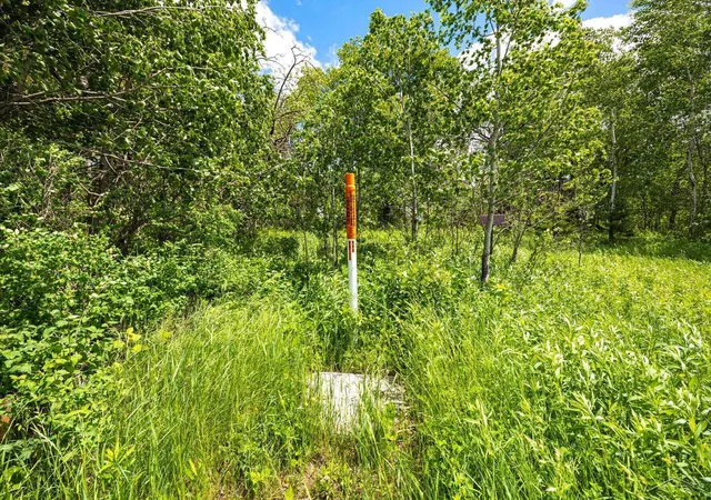 Homes for sale in Covington Township Baraga, MI | 25615 Leo S Rd, Covington Township Baraga, MI 49970 | MLS# 61050210795