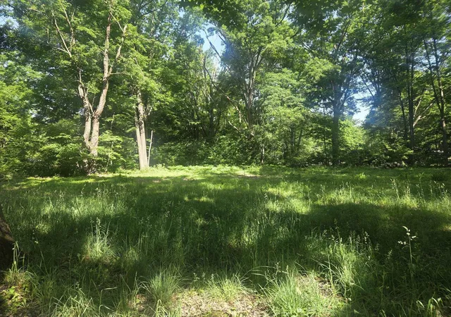 1st image of 7820 Wilderness Dr, Weidman, MI 48893 | MLS# 79080069476