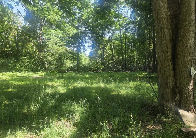 2nd image of 7820 Wilderness Dr, Weidman, MI 48893 | MLS# 79080069476