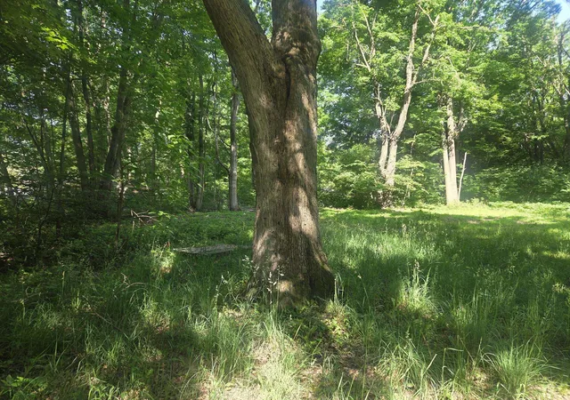 3rd image of 7820 Wilderness Dr, Weidman, MI 48893 | MLS# 79080069476