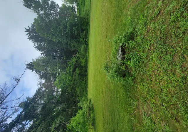 28th image of 23580 22 Mile Rd, Paris, MI 49338 | MLS# 72026028371