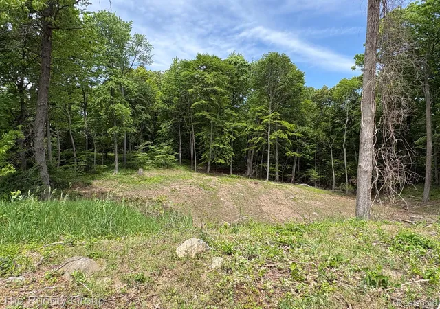 Photo 3 of Land for sale at 6248 E Crst Forest Ct, Clarkston, MI 48348 | MLS# 20261043556 | Listing updated on 2026-08-11