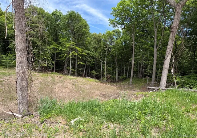 Photo 3 of Land for sale at 6248 E Crst Forest Ct, Clarkston, MI 48348 | MLS# 20261043556 | Listing updated on 2026-08-11