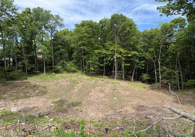 Photo 4 of Land for sale at 6248 E Crst Forest Ct, Clarkston, MI 48348 | MLS# 20261043556 | Listing updated on 2026-08-11