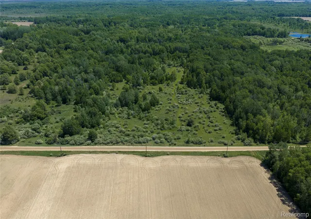 Homes for sale in Argyle Township Sanilac, MI | Parcel B Freiburger Rd, Argyle Township Sanilac, MI 48472 | MLS# 20261043562