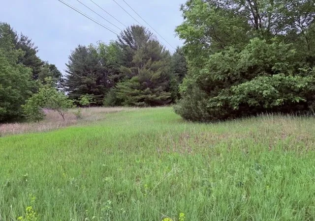 3rd image of 1 S M-88, Bellaire, MI 49615 | MLS# 78080069498