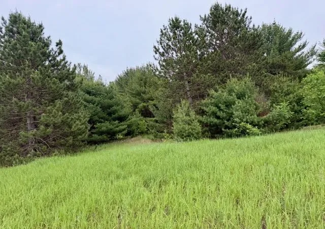 5th image of 1 S M-88, Bellaire, MI 49615 | MLS# 78080069498