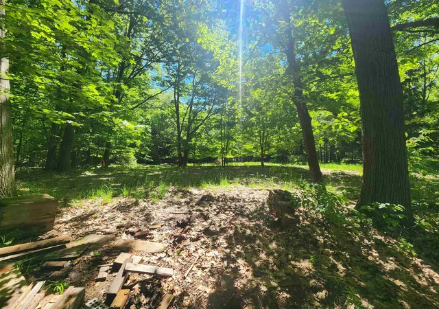 46th image of 18219 Northwood Hwy, Arcadia, MI 49613 | MLS# 78080069513