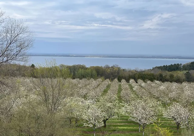 Land for sale at 12586 Center Dr, Traverse City, MI 49686 | MLS# 78080069517