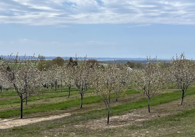 Photo 3 of Land for sale at 12586 Center Dr, Traverse City, MI 49686 | MLS# 78080069517 | Listing updated on 2026-09-09
