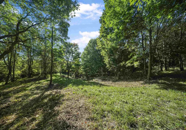 5th image of 00-2 Carlson Rd, Frankfort, MI 49635 | MLS# 78080069518