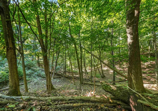5th image of 00-3 Carlson Rd, Frankfort, MI 49635 | MLS# 78080069519