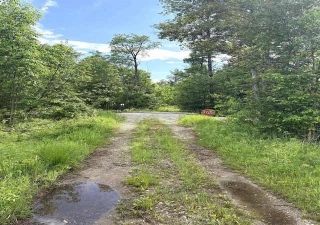 Photo 2 of Land for sale at V/l M 76, Ogemaw Township Ogemaw, MI 48861 | MLS# 77080069531 | Listing updated on 2026-07-02