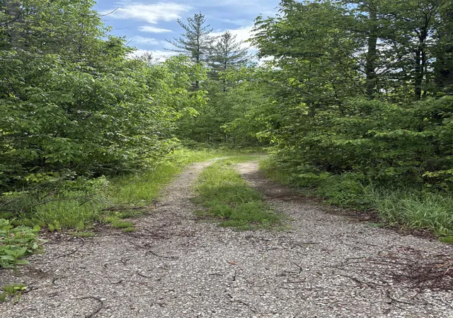 Photo 3 of Land for sale at V/l M 76, Ogemaw Township Ogemaw, MI 48861 | MLS# 77080069531 | Listing updated on 2026-07-02