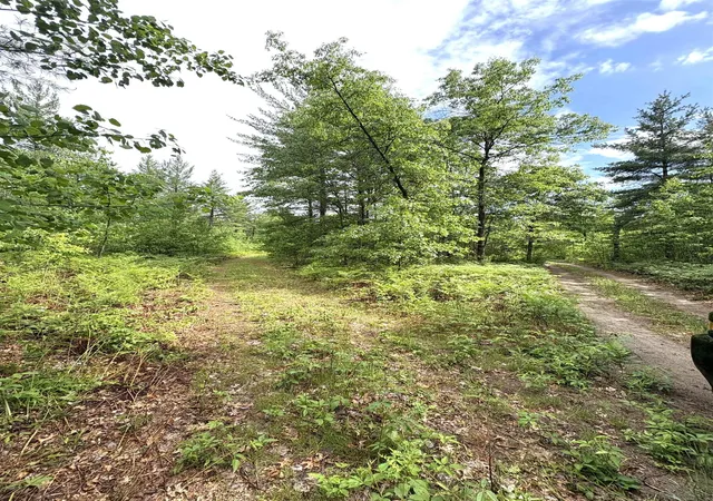 Photo 3 of Land for sale at V/l M 76, Ogemaw Township Ogemaw, MI 48861 | MLS# 77080069531 | Listing updated on 2026-07-02
