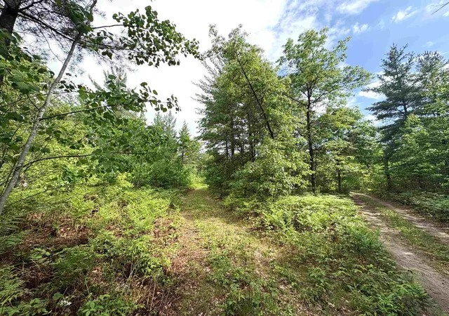 Photo 4 of Land for sale at V/l M 76, Ogemaw Township Ogemaw, MI 48861 | MLS# 77080069531 | Listing updated on 2026-07-02