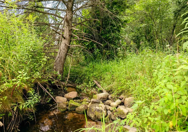 3rd image of 00 E Birch Point Rd, Traverse City, MI 49684 | MLS# 78080069551