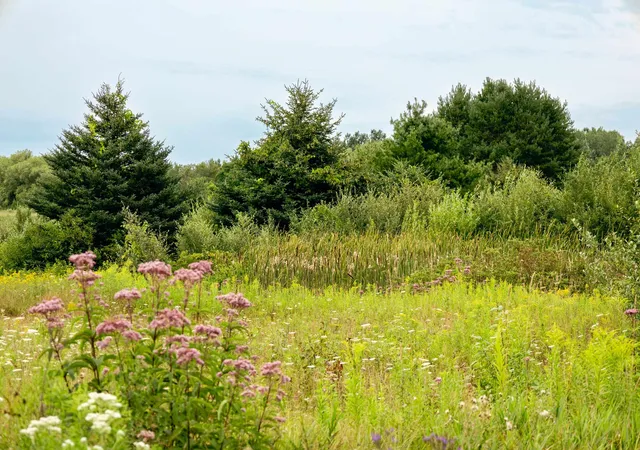 4th image of 00 E Birch Point Rd, Traverse City, MI 49684 | MLS# 78080069551