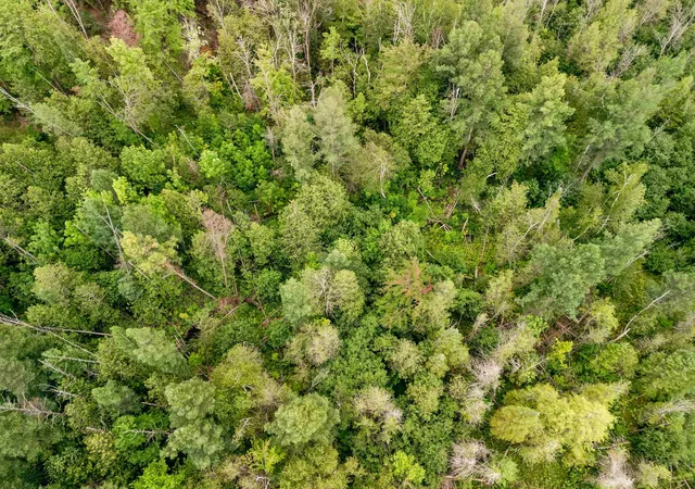 67th image of 00 E Birch Point Rd, Traverse City, MI 49684 | MLS# 78080069551