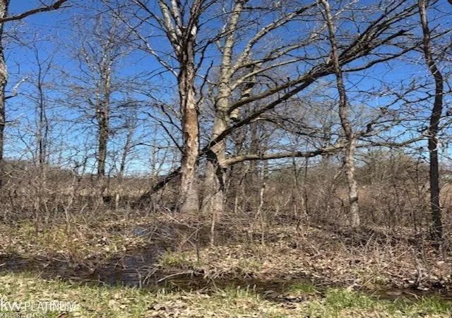 Photo 1 of Land for sale at 0 Petz Rd, Imlay City, MI 48444 | MLS# 58050211100 | Listing updated on 2026-06-18