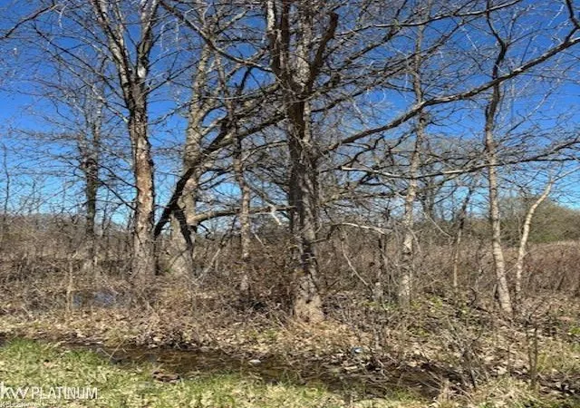 Photo 2 of Land for sale at 0 Petz Rd, Imlay City, MI 48444 | MLS# 58050211100 | Listing updated on 2026-06-18