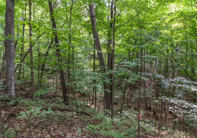 Photo 4 of Land for sale at N Hoeft Rd, Lake Leelanau, MI 49653 | MLS# 78080069577 | Listing updated on 2026-08-31