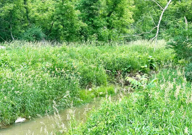 Photo 3 of Land for sale at Vl Braidwood Parcel 3 Rd, Riley Township St Clair, MI 48041 | MLS# 58050211147 | Listing updated on 2026-06-15