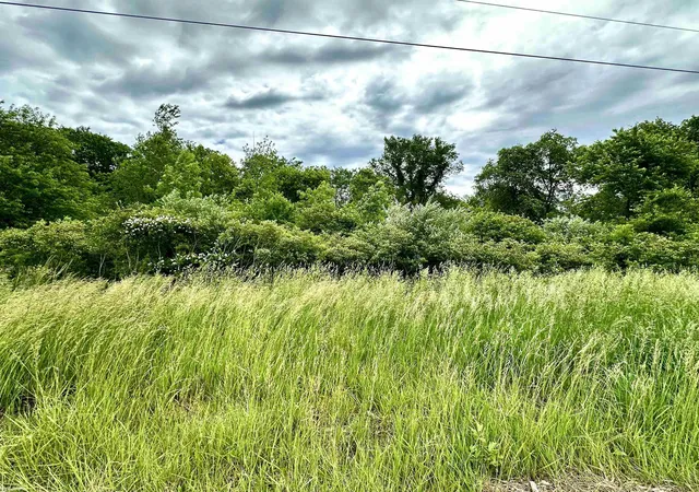Photo 1 of Land for sale at Vl Braidwood Parcel 4 Rd, Riley Township St Clair, MI 48041 | MLS# 58050211151 | Listing updated on 2026-06-15