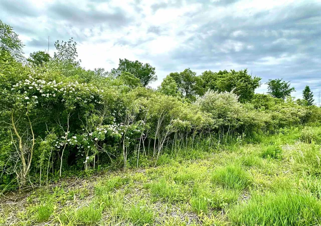 Photo 2 of Land for sale at Vl Braidwood Parcel 4 Rd, Riley Township St Clair, MI 48041 | MLS# 58050211151 | Listing updated on 2026-06-15