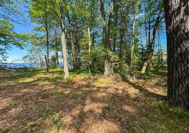 3rd image of 111 9Th St, Prudenville, MI 48651 | MLS# 77080069584