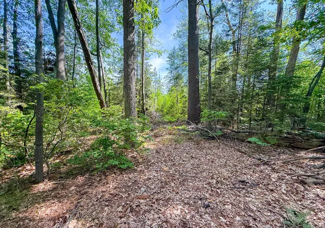 5th image of 111 9Th St, Prudenville, MI 48651 | MLS# 77080069584