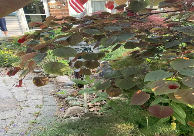 Photo 2 of Single family home for sale at 30207 Westfield St, Livonia, MI 48150 | MLS# 81026029087 | Listing updated on 2026-08-02